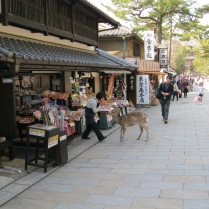 A shopkeeper had to shoo away an overly inquisitive deer