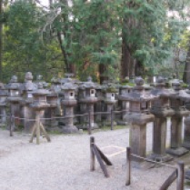 Even more lanterns! (Nara)
