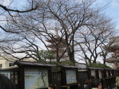 Sensoji Pagoda