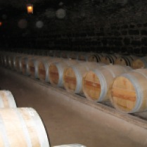 The obligatory barrel shot at the vineyards of Concha Y Toro