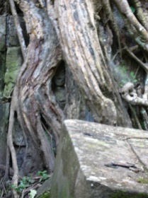 An apsara peaking out from behind some roots